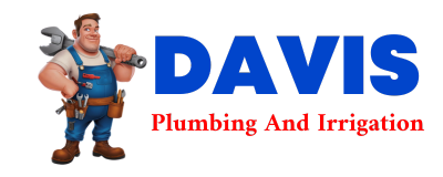 Trusted plumber in PLUMVILLE